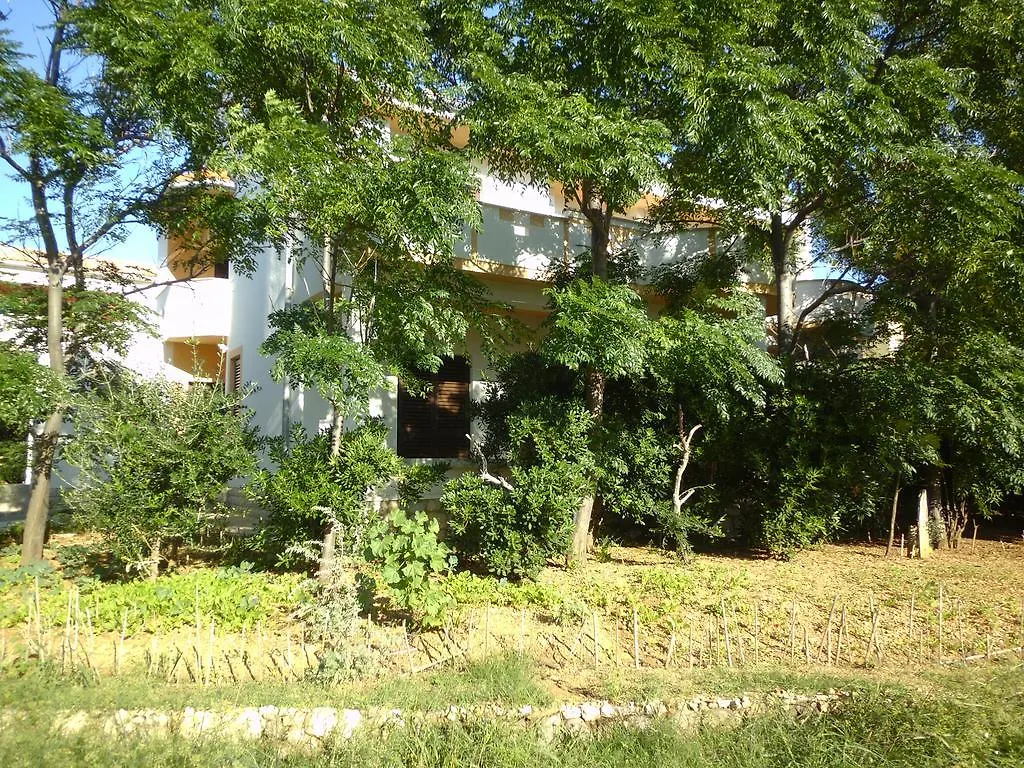 Apartments Kresimir Beauty With Shadow Trees And Parking Place 0*, Pag Town